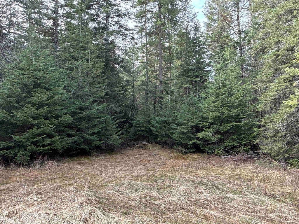 NKA Eagle Ridge Way, Springdale, WA 99173 photo 13