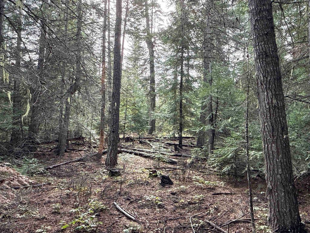 NKA Eagle Ridge Way, Springdale, WA 99173 photo 14