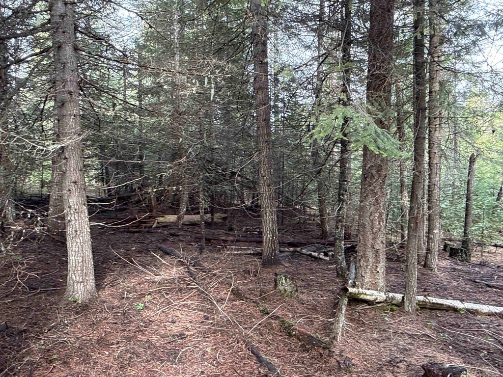 NKA Eagle Ridge Way, Springdale, WA 99173 photo 15