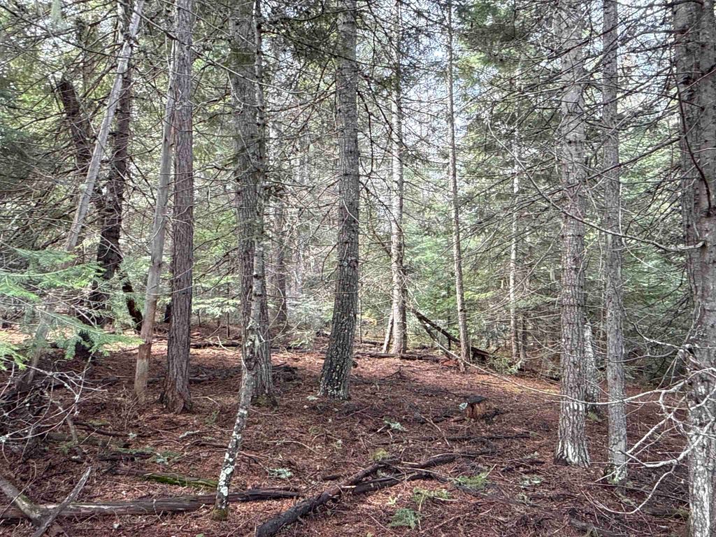 NKA Eagle Ridge Way, Springdale, WA 99173 photo 16