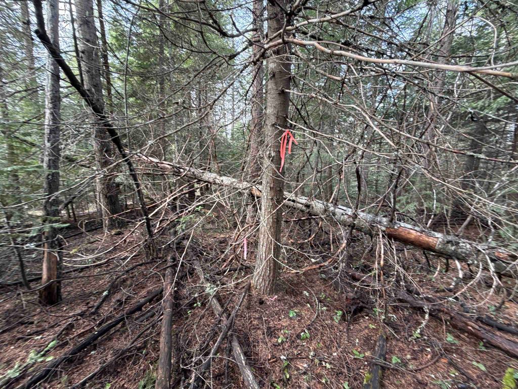 NKA Eagle Ridge Way, Springdale, WA 99173 photo 17