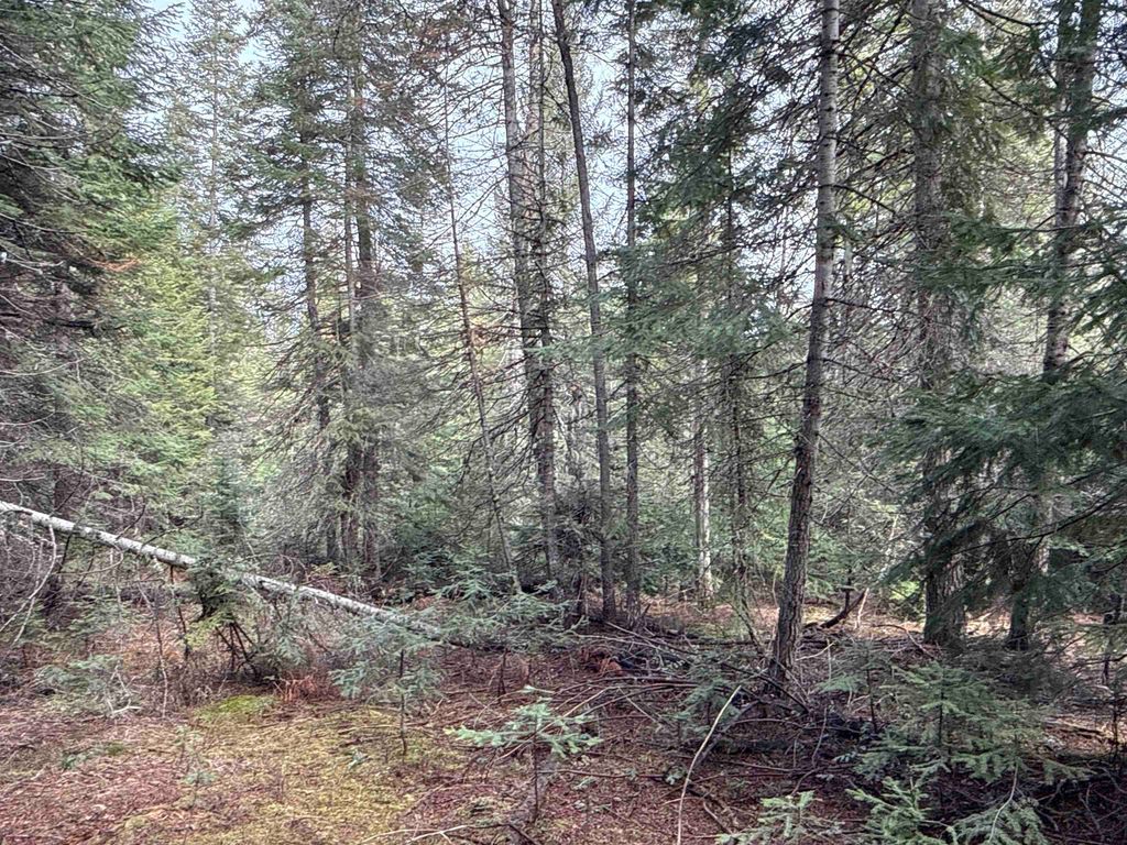 NKA Eagle Ridge Way, Springdale, WA 99173 photo 18