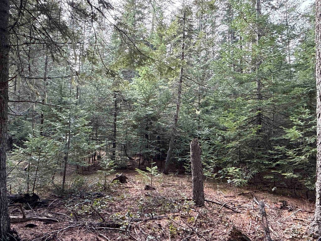 NKA Eagle Ridge Way, Springdale, WA 99173 photo 19