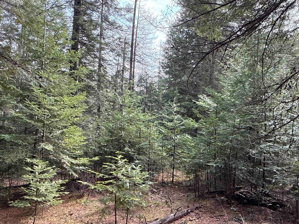 NKA Eagle Ridge Way, Springdale, WA 99173 photo 20