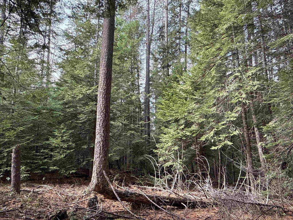 NKA Eagle Ridge Way, Springdale, WA 99173 photo 21