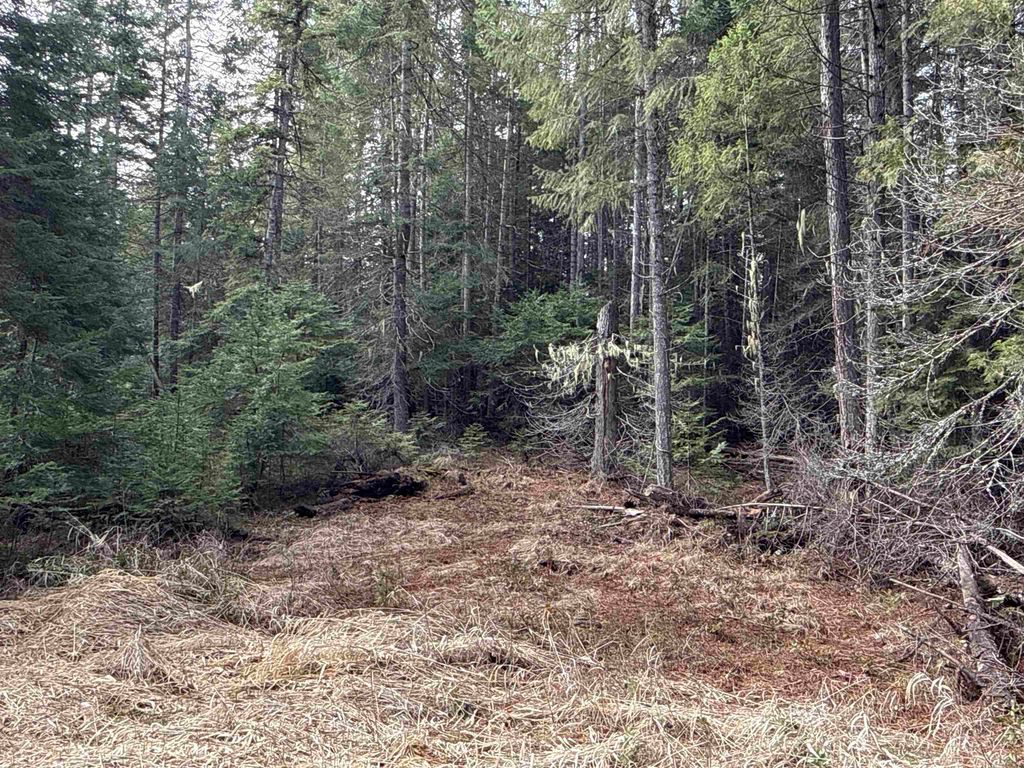 NKA Eagle Ridge Way, Springdale, WA 99173 photo 22