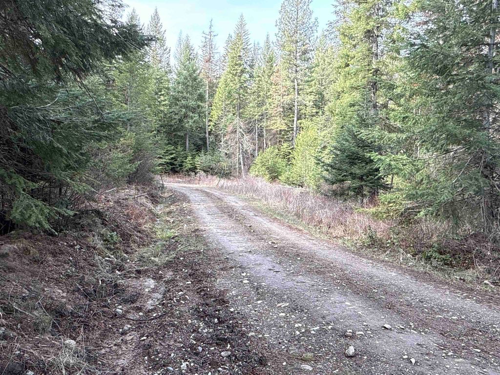 NKA Eagle Ridge Way, Springdale, WA 99173 photo 4