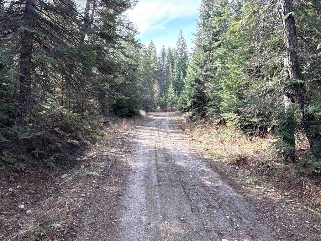 NKA Eagle Ridge Way, Springdale, WA 99173 photo 5