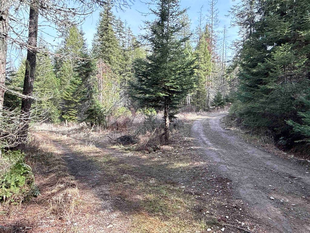 NKA Eagle Ridge Way, Springdale, WA 99173 photo 6