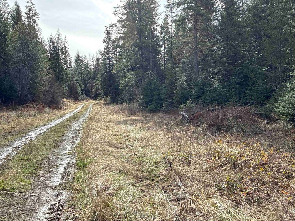 NKA Eagle Ridge Way, Springdale, WA 99173 photo 7