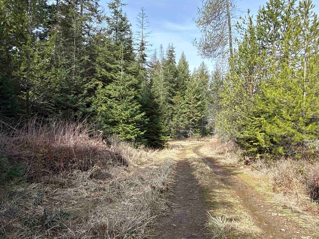 NKA Eagle Ridge Way, Springdale, WA 99173 photo 8