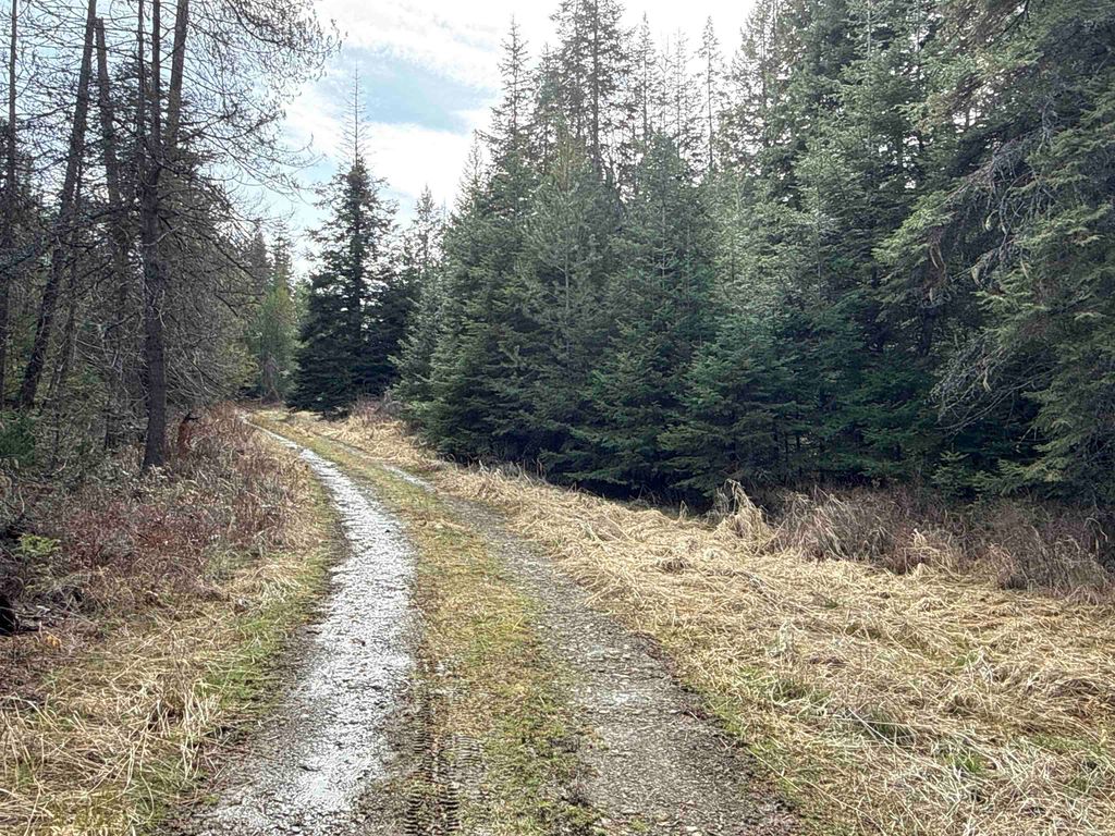 NKA Eagle Ridge Way, Springdale, WA 99173 photo 9