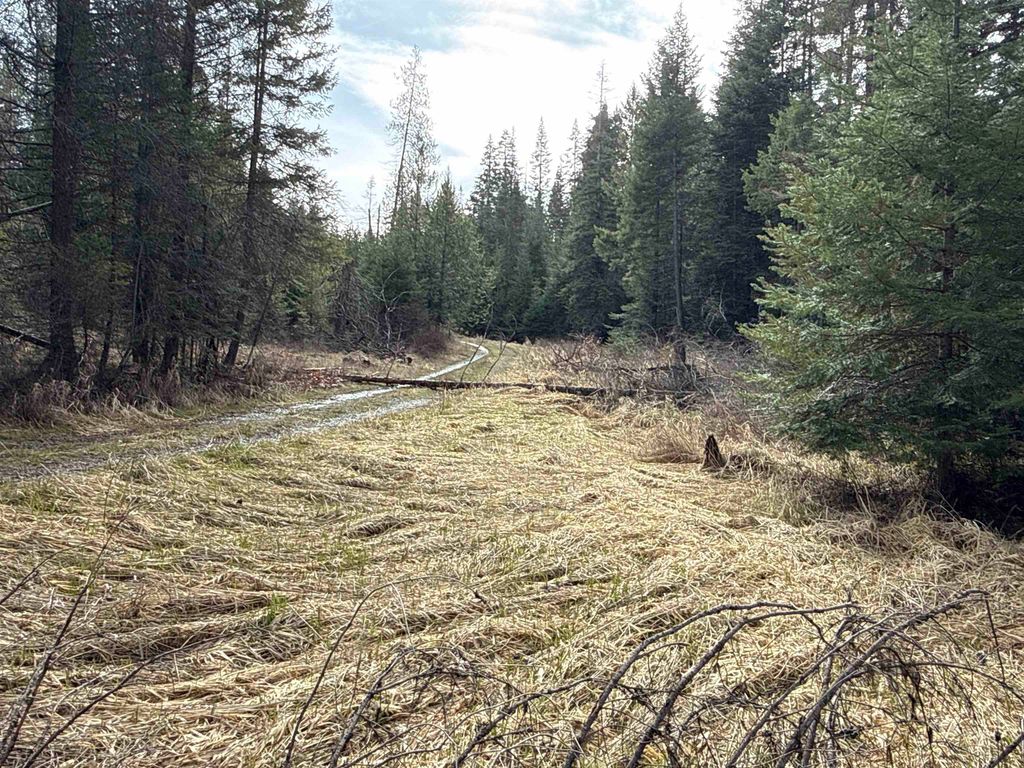 NKA Eagle Ridge Way, Springdale, WA 99173 photo 10