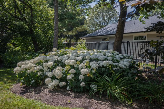 921 Ray Street, Geneva, IL 60134