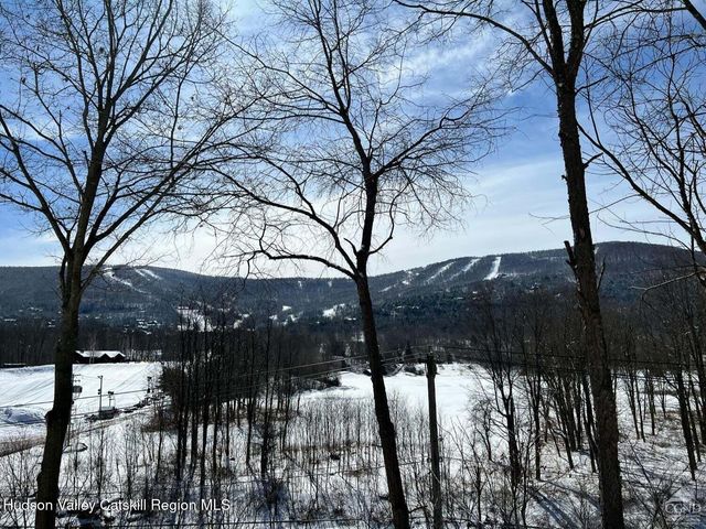 16 Hickory Hill Road, Windham, NY 12496