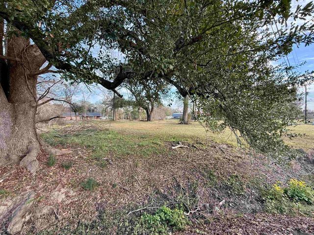 1.14 Acres Savoy Rd, St Amant, LA 70774