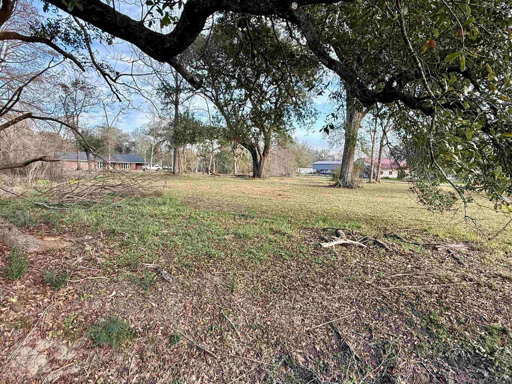 1.14 Acres Savoy Rd, St Amant, LA 70774