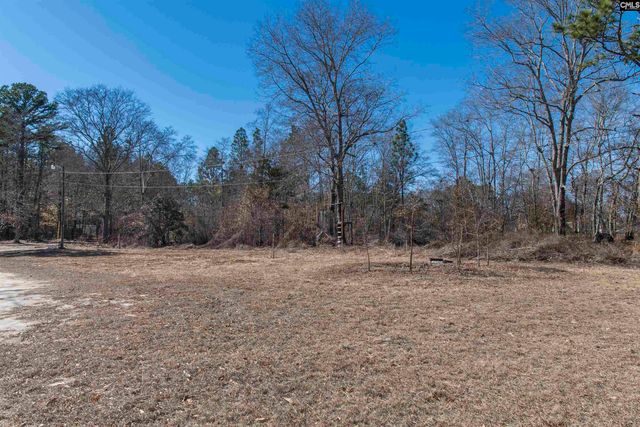 113 Patricia Ave, Pelion, SC 29123