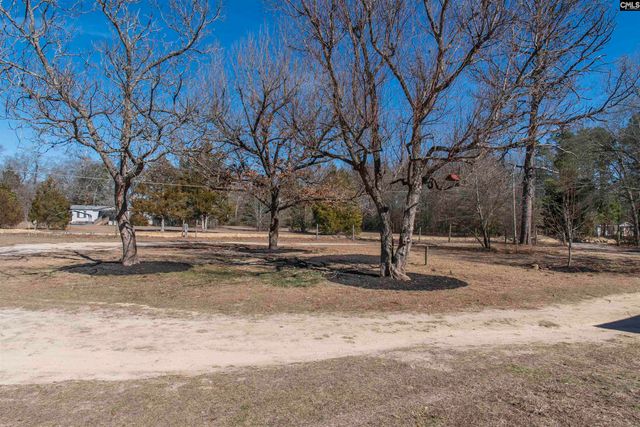 113 Patricia Ave, Pelion, SC 29123