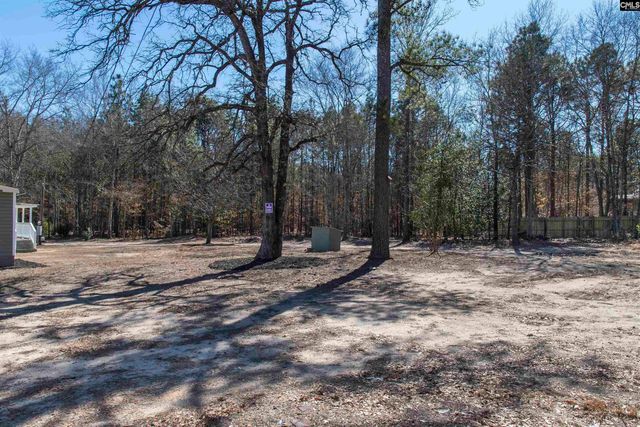 113 Patricia Ave, Pelion, SC 29123