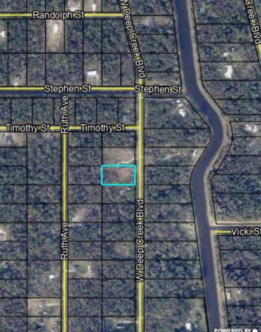 10235 W Deep Creek Blvd, Hastings, FL 32145