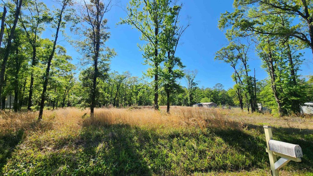 10235 W Deep Creek Blvd, Hastings, FL 32145