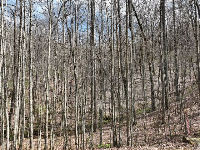 64 St Andrews Way, Ellijay, GA 30536