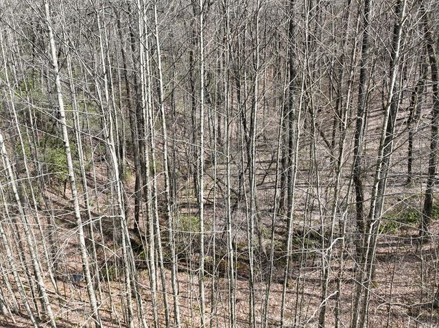 64 St Andrews Way, Ellijay, GA 30536