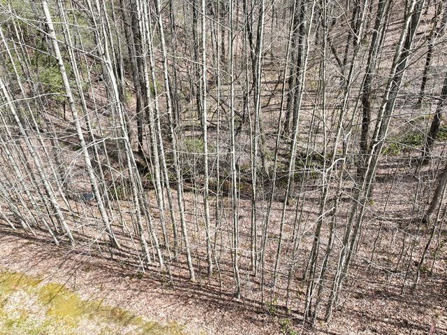 64 St Andrews Way, Ellijay, GA 30536