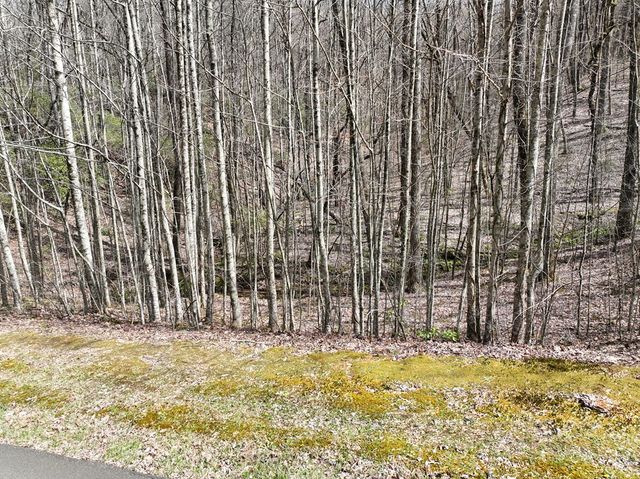 64 St Andrews Way, Ellijay, GA 30536