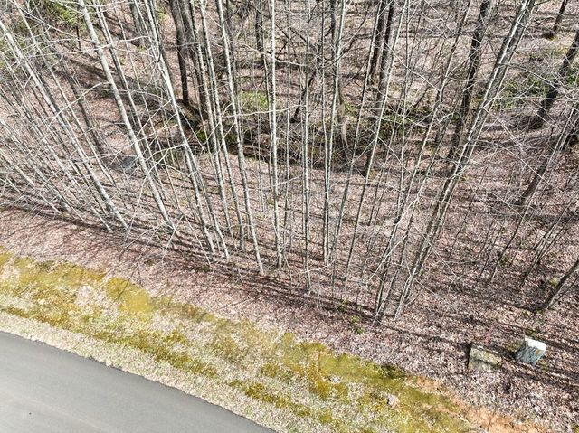 64 St Andrews Way, Ellijay, GA 30536