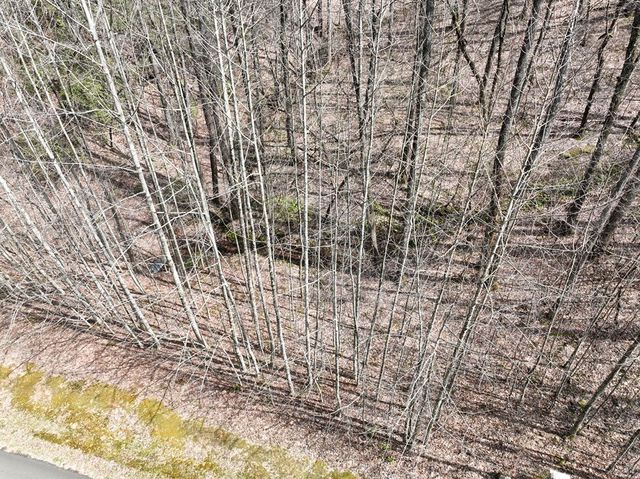 64 St Andrews Way, Ellijay, GA 30536