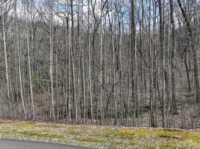 64 St Andrews Way, Ellijay, GA 30536