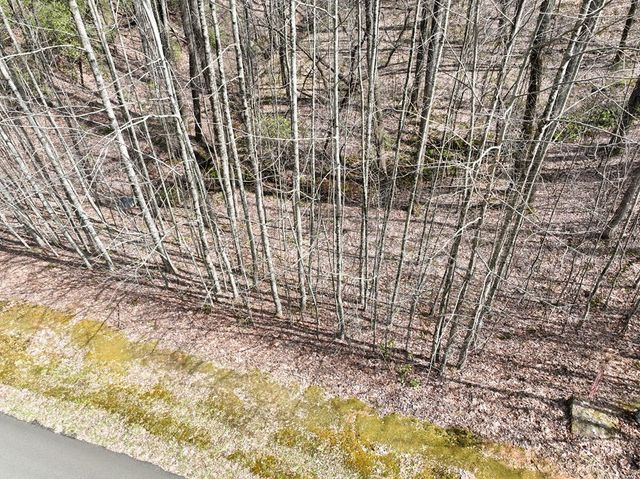 64 St Andrews Way, Ellijay, GA 30536