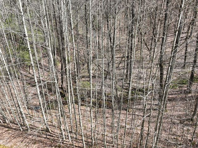 64 St Andrews Way, Ellijay, GA 30536