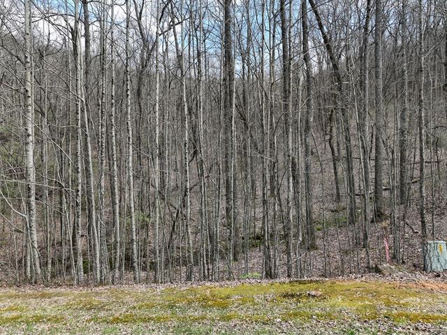 64 St Andrews Way, Ellijay, GA 30536