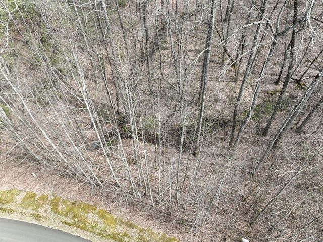 64 St Andrews Way, Ellijay, GA 30536