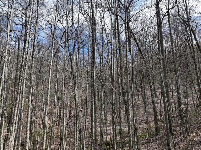 64 St Andrews Way, Ellijay, GA 30536