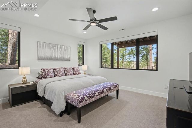 19125 Hilltop Pines Path, Monument, CO 80132