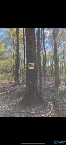 21.6 Holly Avenue 0, Attalla, AL 35954