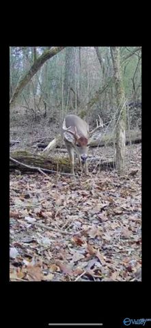 21.6 Holly Avenue 0, Attalla, AL 35954