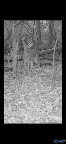 21.6 Holly Avenue 0, Attalla, AL 35954