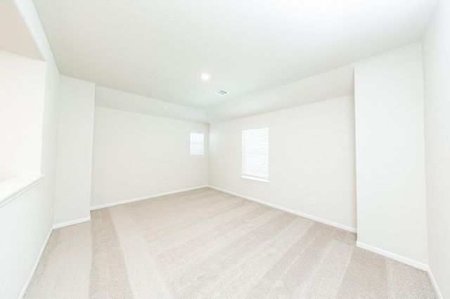 15658 Coneflower Hills Drive, Houston, TX 77090