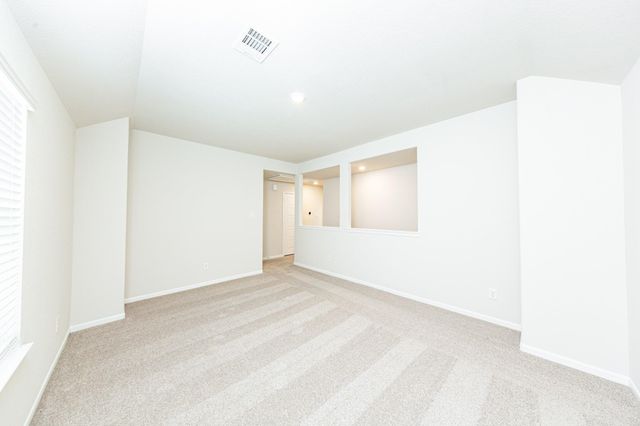 15658 Coneflower Hills Drive, Houston, TX 77090