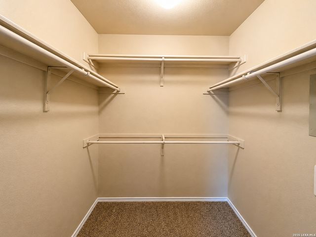 3961 Whisper Field, Schertz, TX 78108