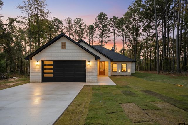 16971 Mary Martin Dr., Flint, TX 75762