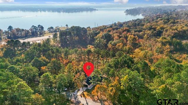 16971 Mary Martin Dr., Flint, TX 75762