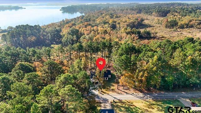 16971 Mary Martin Dr., Flint, TX 75762