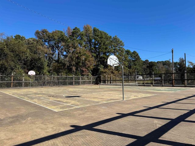 16971 Mary Martin Dr., Flint, TX 75762