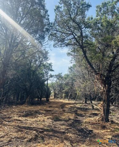 TBD Lot 24 Hank Williams Way, Burnet, TX 78605